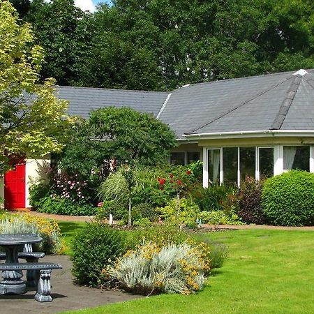 キラーニー Applecroft House Bed & Breakfast エクステリア 写真