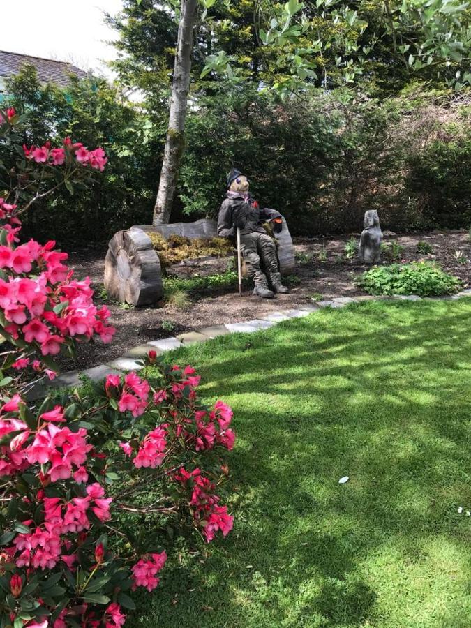 キラーニー Applecroft House Bed & Breakfast エクステリア 写真
