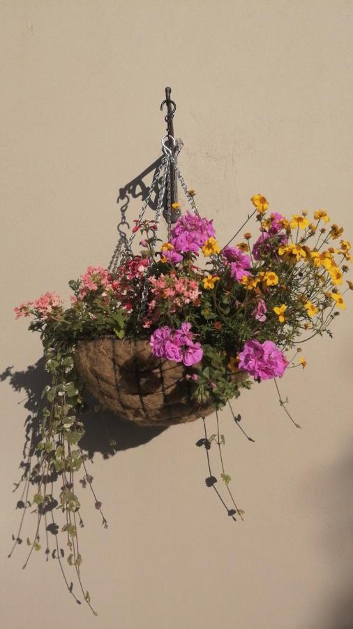 キラーニー Applecroft House Bed & Breakfast エクステリア 写真