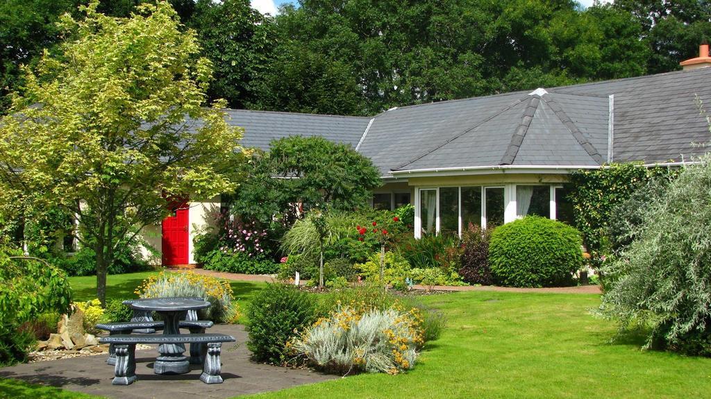 キラーニー Applecroft House Bed & Breakfast エクステリア 写真
