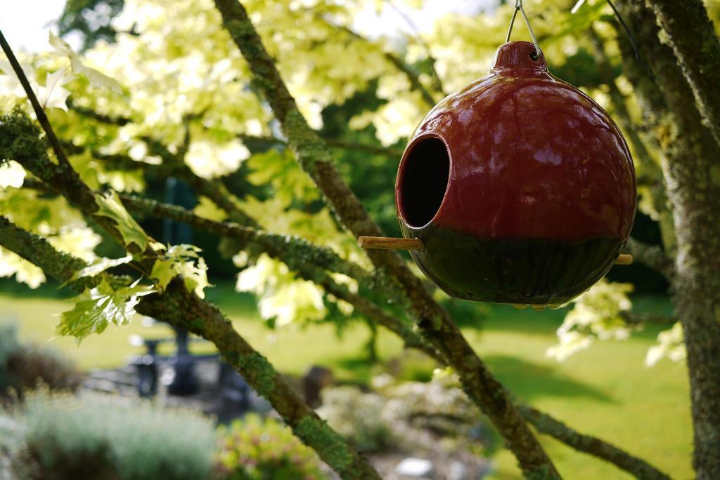 キラーニー Applecroft House Bed & Breakfast エクステリア 写真