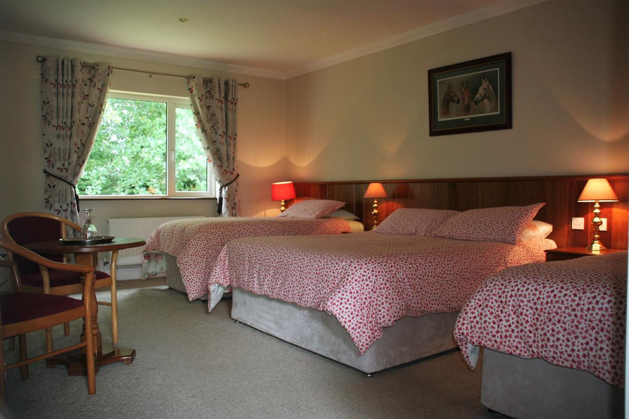 キラーニー Applecroft House Bed & Breakfast エクステリア 写真